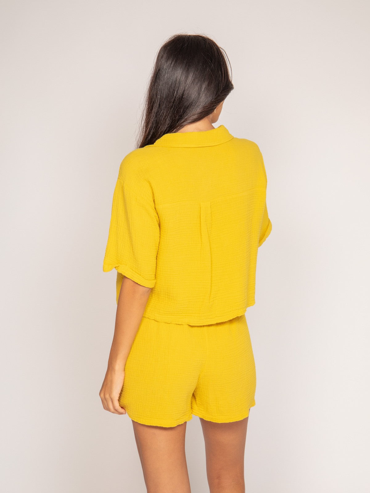 #color_jaune-moutarde