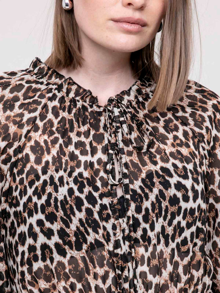 #color_leopard