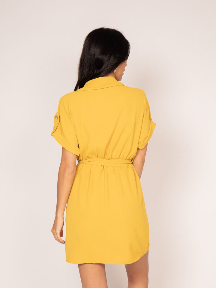 #color_jaune-moutarde