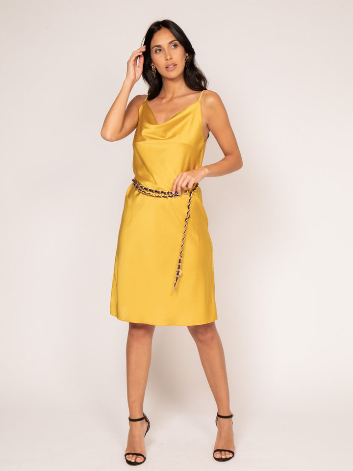 #color_jaune-moutarde