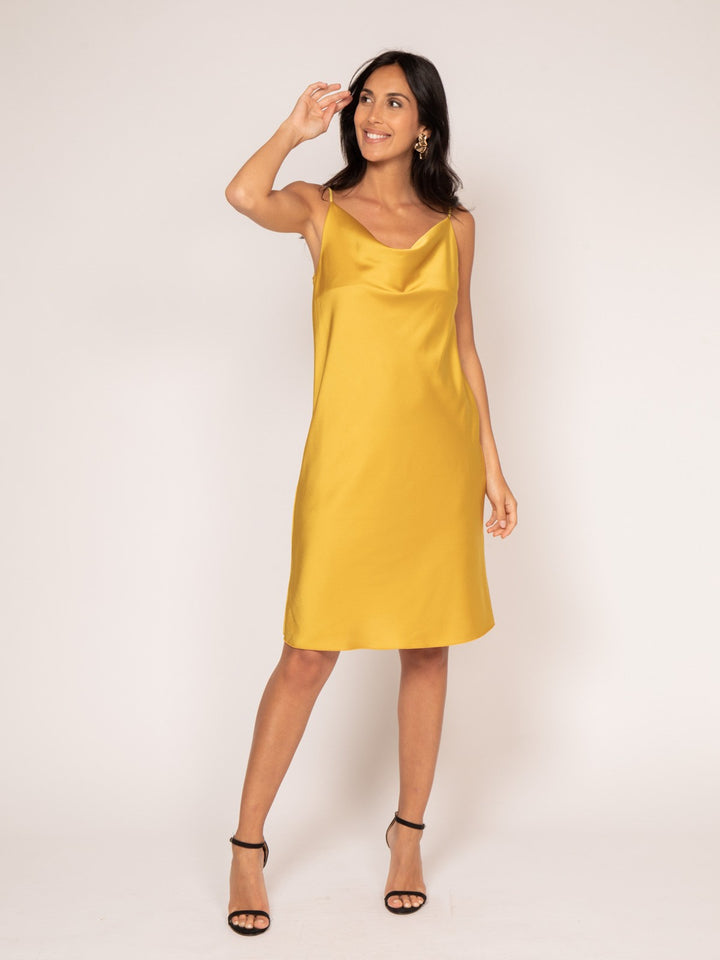 #color_jaune-moutarde