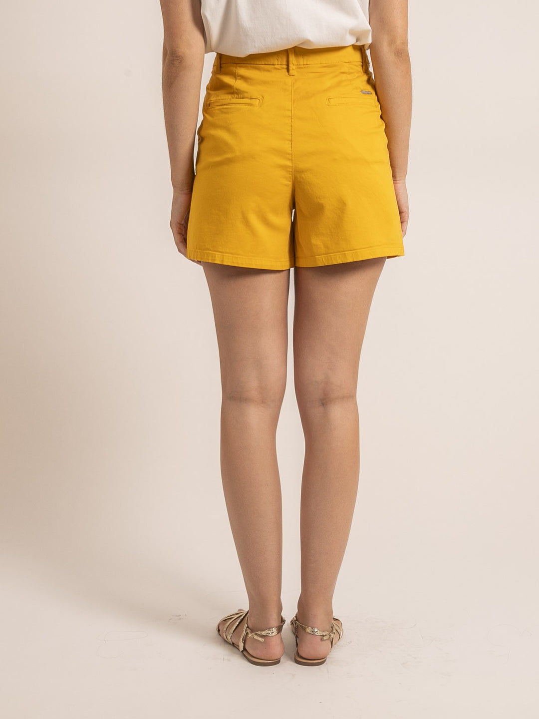 #color_jaune-moutarde