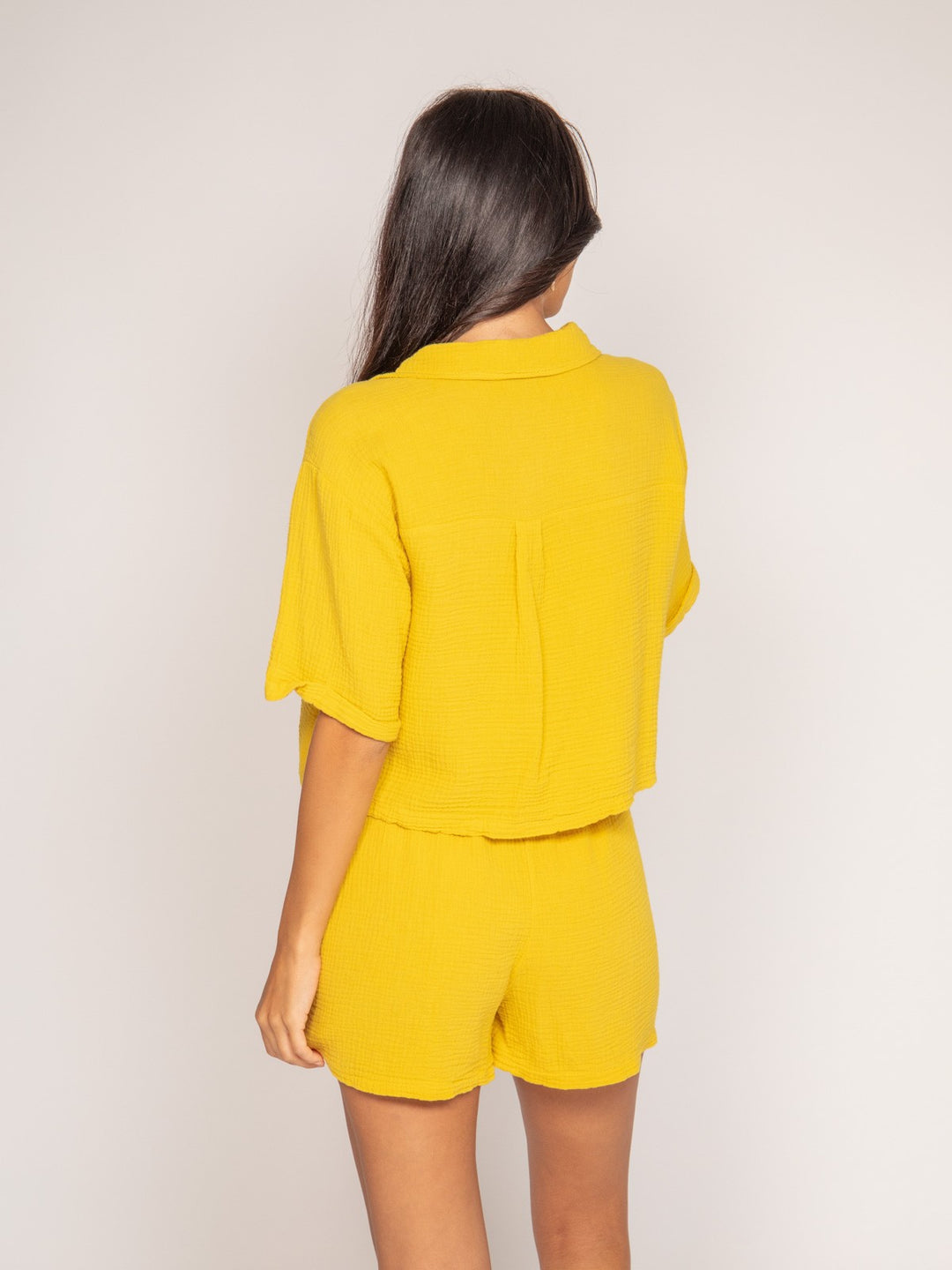 #color_jaune-moutarde