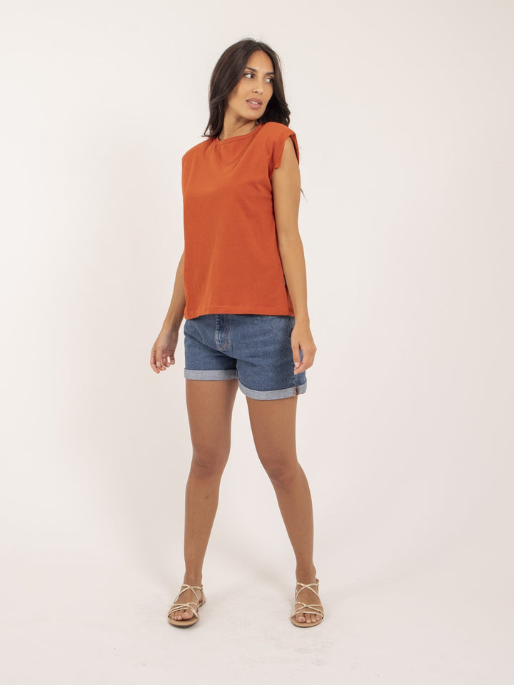 #color_rouge-brique